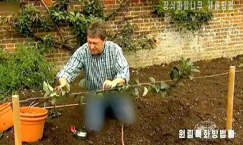 В Северной Корее ведущему британского шоу о садоводстве заблюрили джинсы