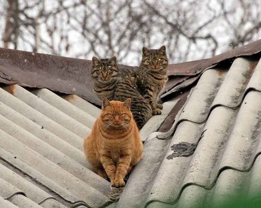 С добрым утром!