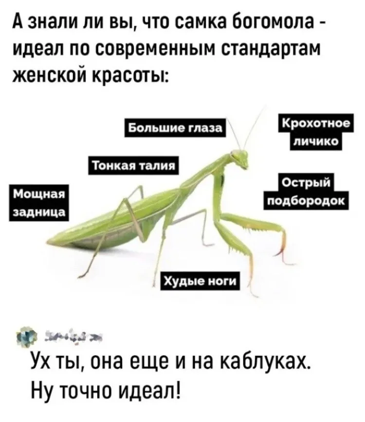 5dc53eedd682da17231102c948c84b3f.jpg.web