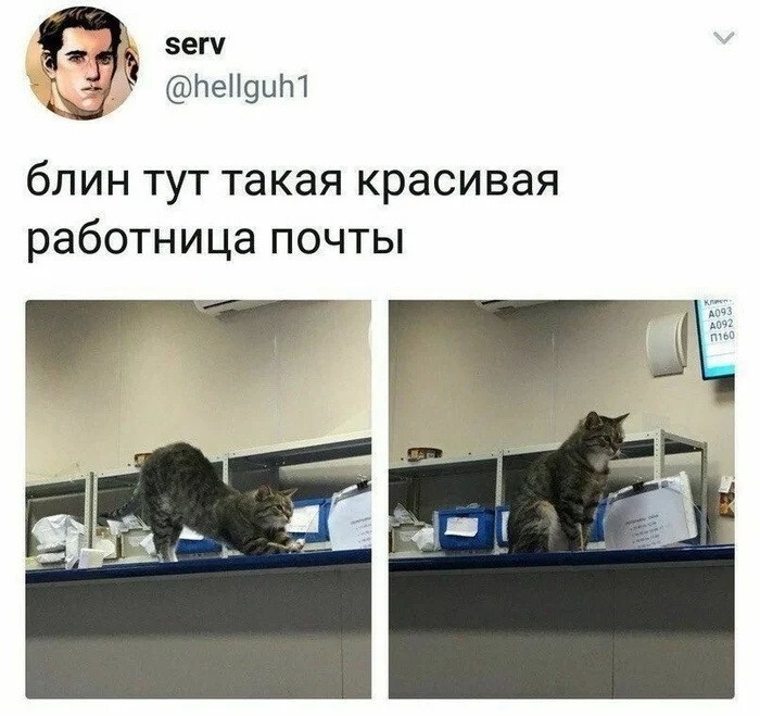 Скрины из соцсетей            