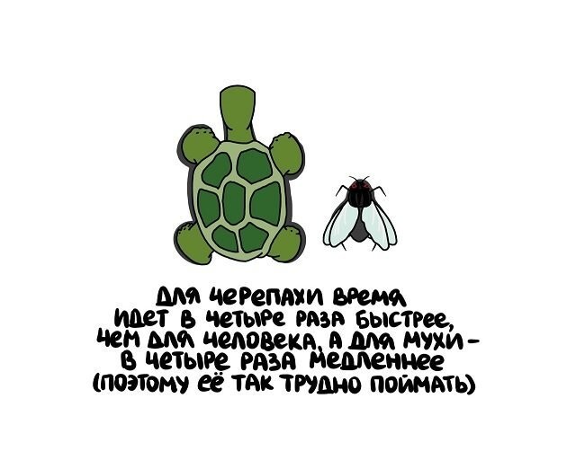 А вдруг ты не знал… от АРОН за 29 марта 2024