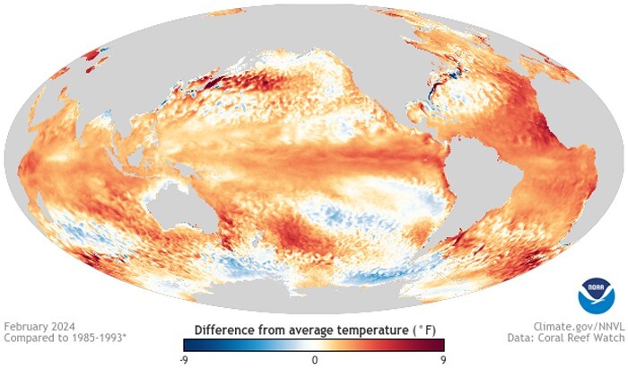 Сравнение явлений Эль-Ниньо 1985—1993 гг. и 2023—2024 гг., разница по сравнению со средней температурой