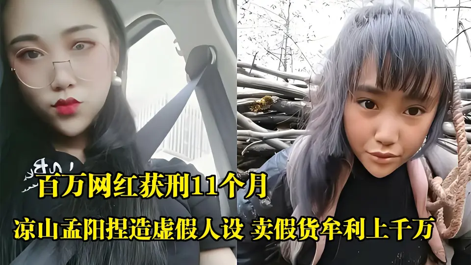 Китайских блогеров арестовали за вранье о тяжелой жизни крестьян