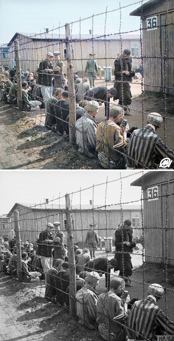 19. Освобождение заключённых из концлагеря Берген-Бельзена, апрель 1945 год
