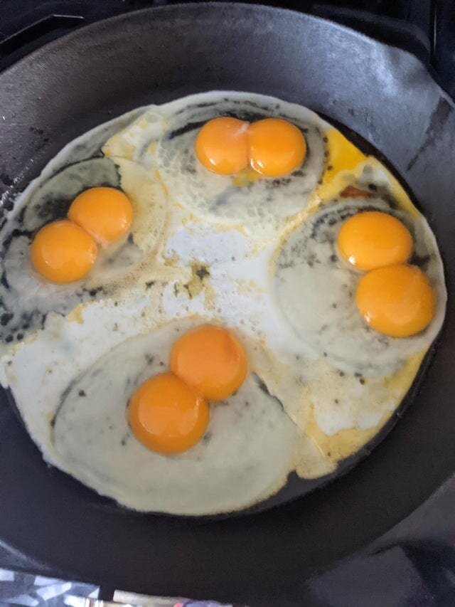12. Четыре яйца подряд с двумя желтками в каждом