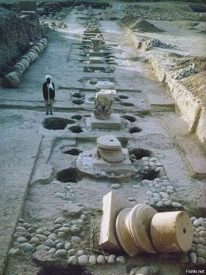 В 1960-х годах в Афганистане был случайно обнаружен древнегреческий город, ко...