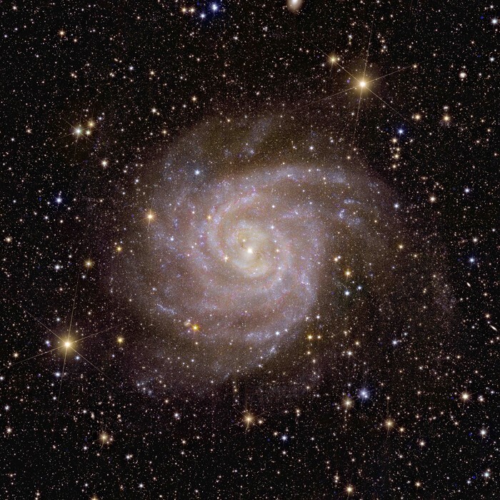 24. IC 342 - спиральная галактика в созвездии Жирафа