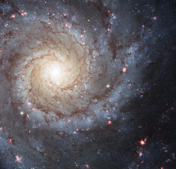 5. Мессье 74 - спиральная галактика в созвездии Рыб
