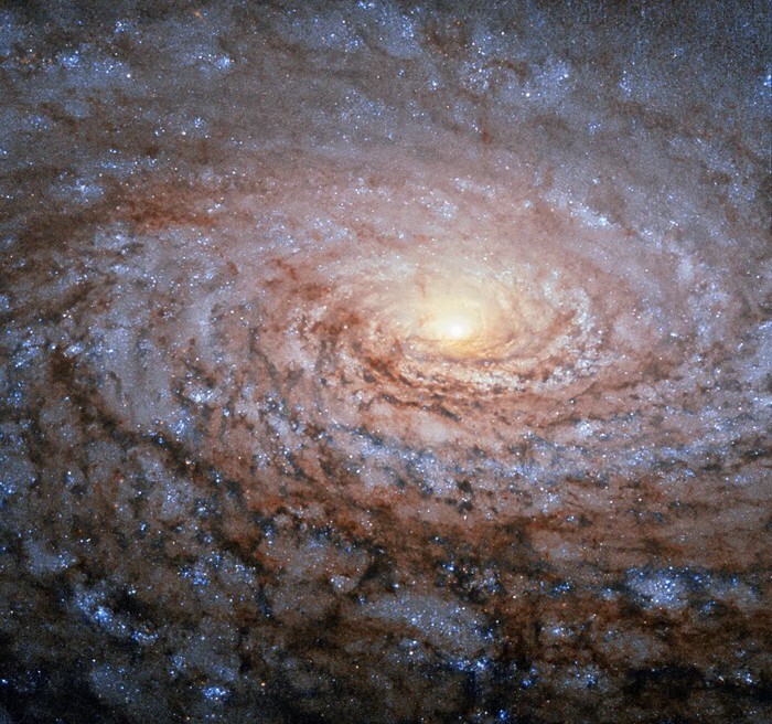 16. Подсолнух - галактика в созвездии Гончие Псы, в которой насчитывается около 400 миллиардов звезд