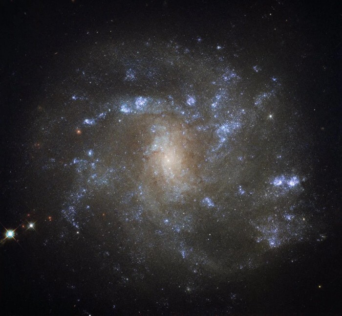 19. NGC 2500 - спиральная галактика в созвездии Рысь