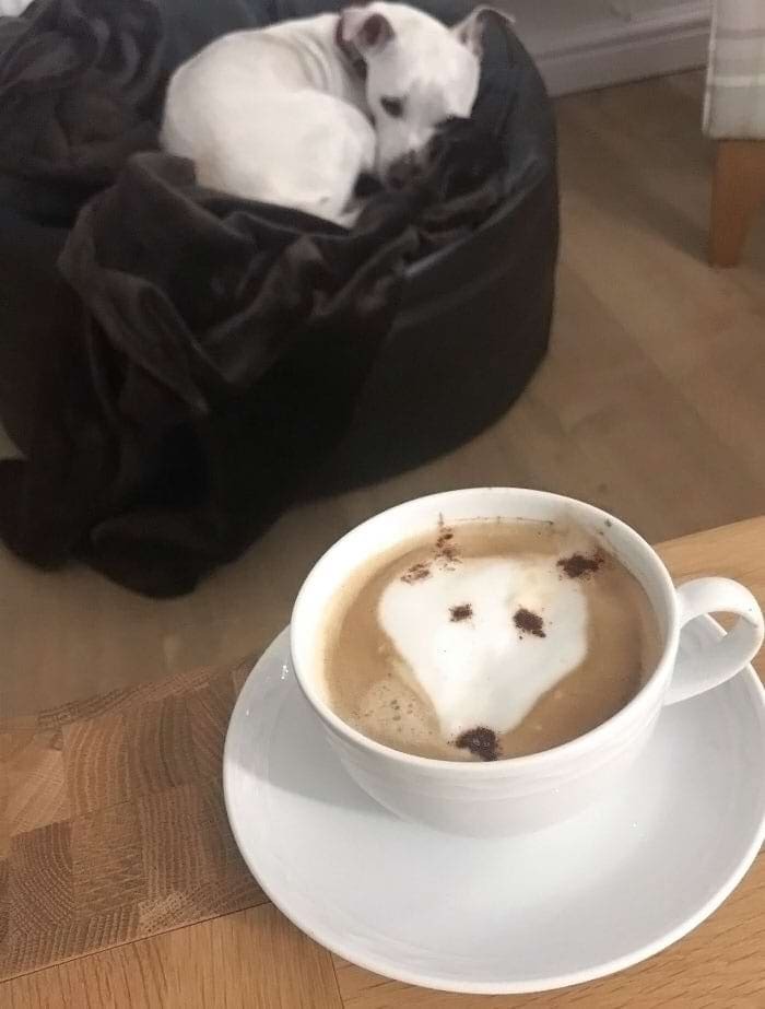 «Момент, когда мой муж пытался воссоздать нашу собаку в чашке кофе»