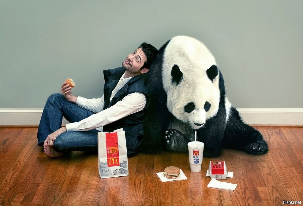 - Привет, меня зовут Андрей, и я украл панду из зоопарка