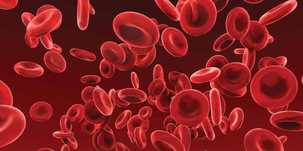 Гемоглобин в крови у детей