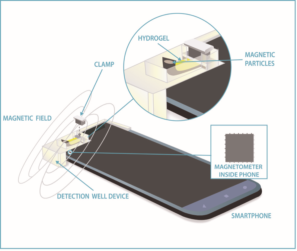 Магнитный компас смартфона научили точно измерять уровень сахара в крови и не только
