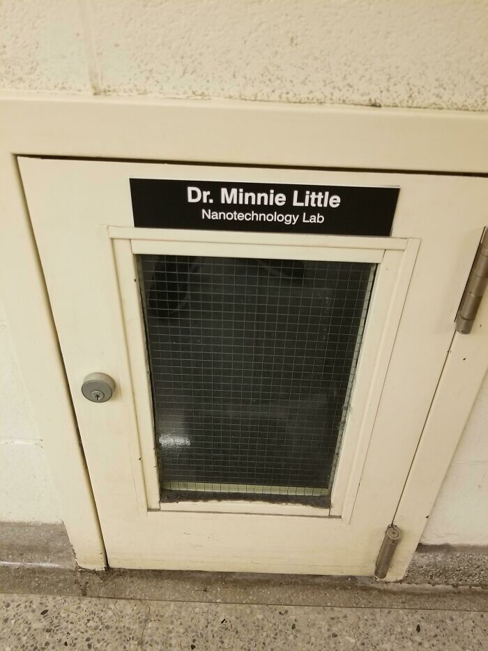 12. «Шутки нашего университета: "Доктор Минни Литтл, лаборатория нанотехнологий"»