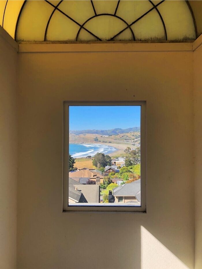 22. «Вид из окна дома, который я снимал. Похоже на картину, висящую на стене»