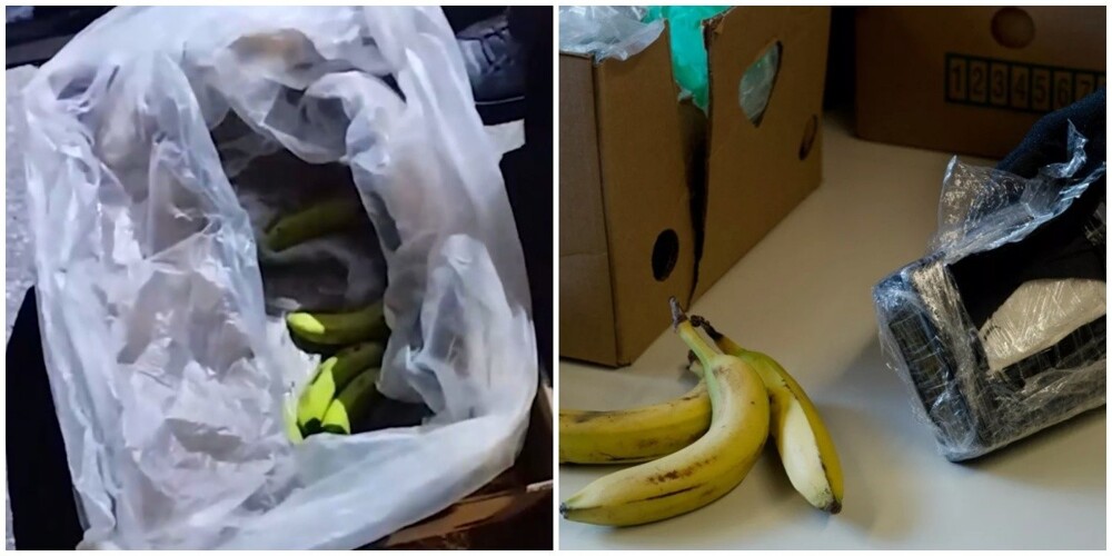 На овощную базу Калининграда по ошибке прислали более 76 килограмм наркотиков вместо колумбийских бананов