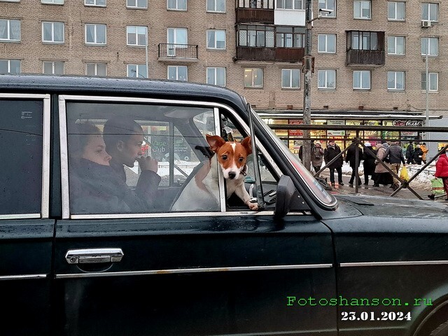 АвтоВсячина