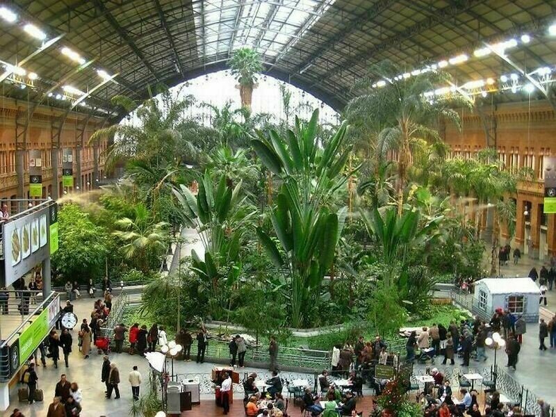 Ботанический сад Мадрида разбит на территории старого железнодорожного вокзала