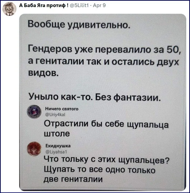 dc0051d35b232b13665c553f22534646.jpg.web