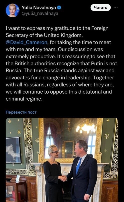 Йоланда встретилась с главой МИД Великобритании Кэмероном, чтобы получить указания по борьбе с Путиным