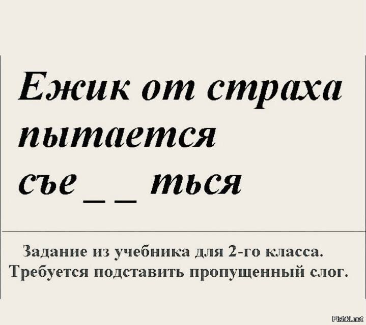 Нелегкий выбор ёжика и родителей, делающих домашнее задание со своим чадом ?