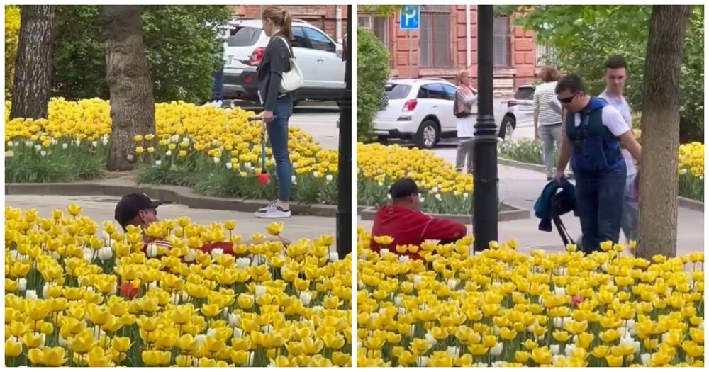 Ростовчанин прогнал любителя спать на цветочных клумбах