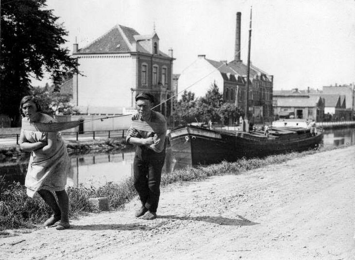 2. Мужчина и женщина тянут грузовое судно по каналу в Нидерландах в 1931 году