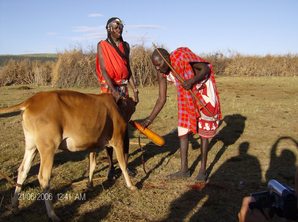 Что едят и пьют масаи