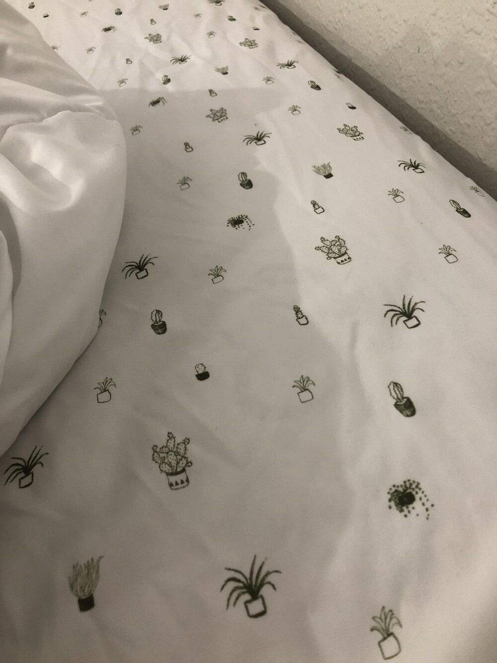 6. Я сначала подумал, что в моей гостиничной кровати сидят пауки