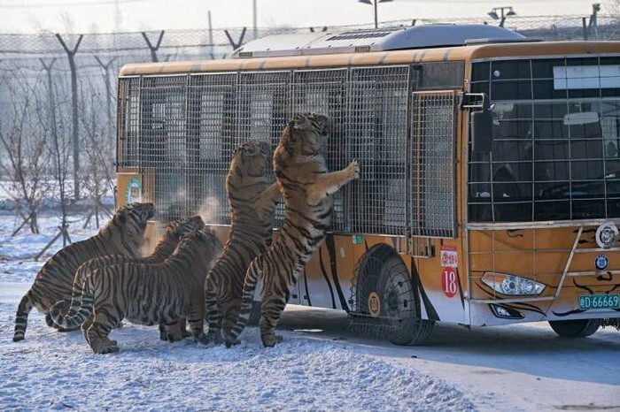 Намешалось 