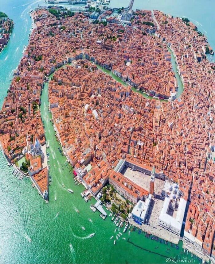 21. Венеция, вид сверху. Видите лебедя?