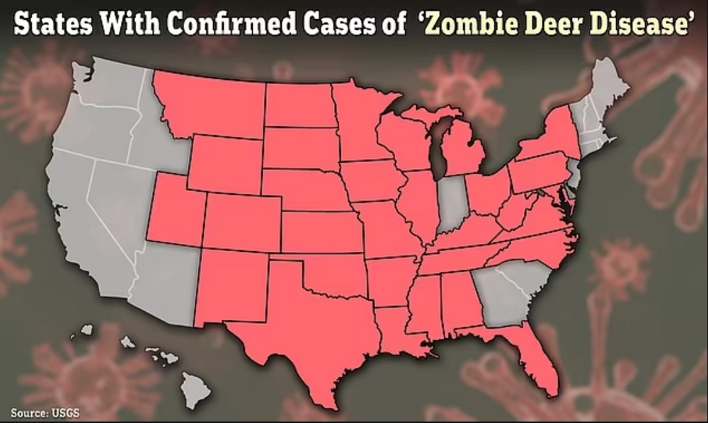 Два американца умерли от болезни зомби-оленей