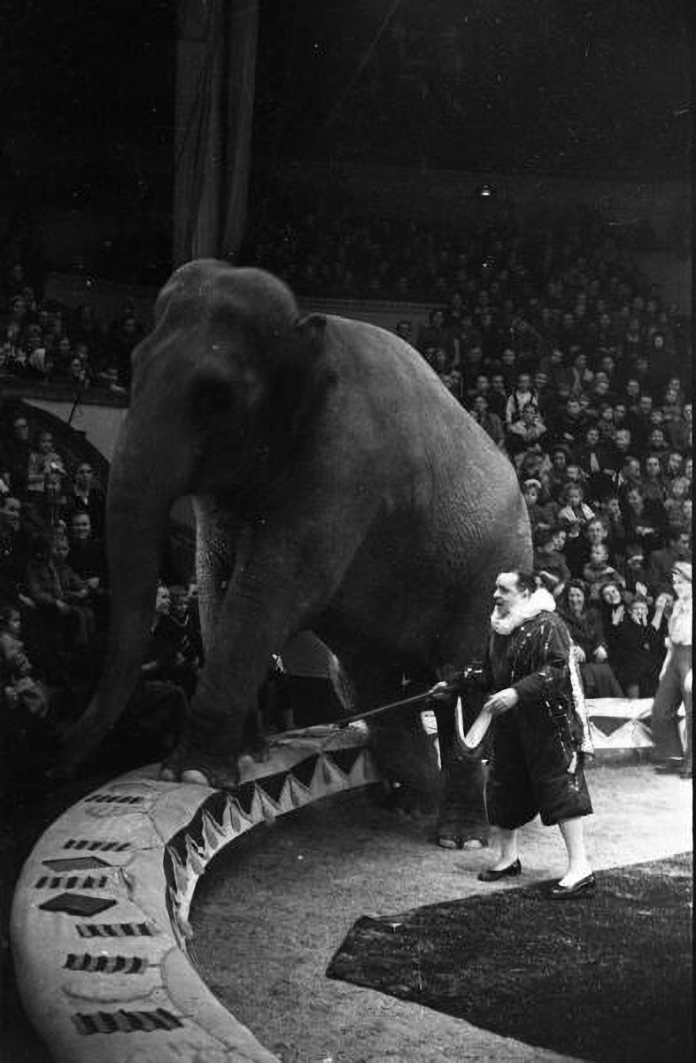 1955-1965 годы. Номер со слоном Владимира Дурова