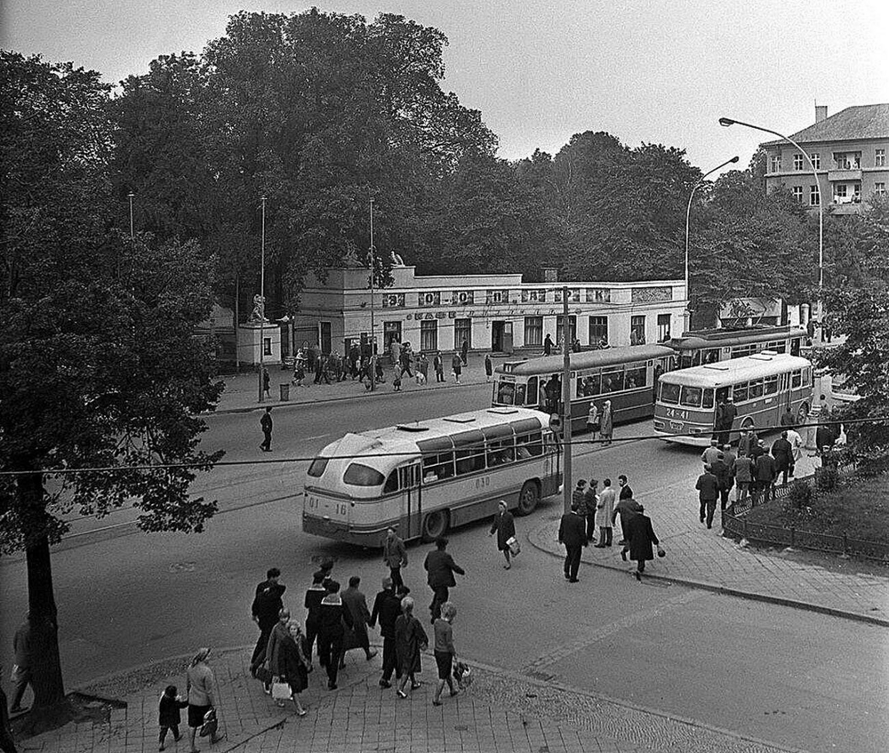 Калининград. Вход в Зоопарк, 1966 год.