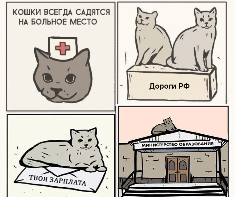 9ffe89fa47593f35a8948f34c6b00303.jpeg.we