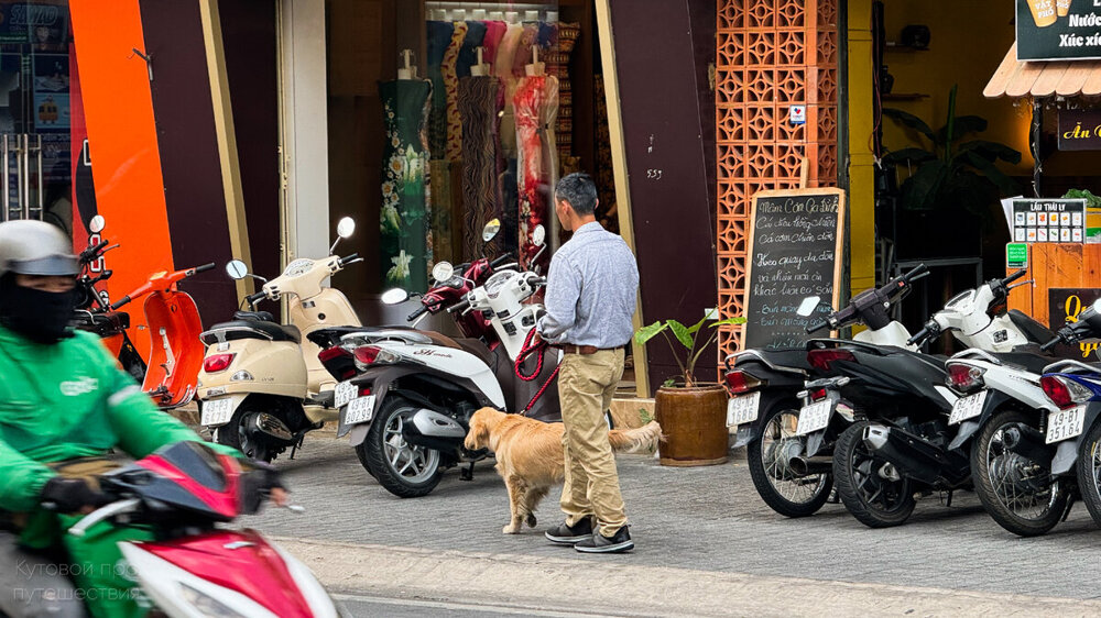 На улицах Вьетнама: 10 фото, передающие атмосферу простой жизни