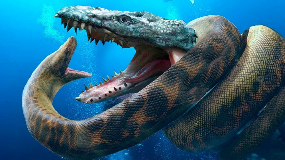 Найдена окаменелость самой крупной змеи в мире