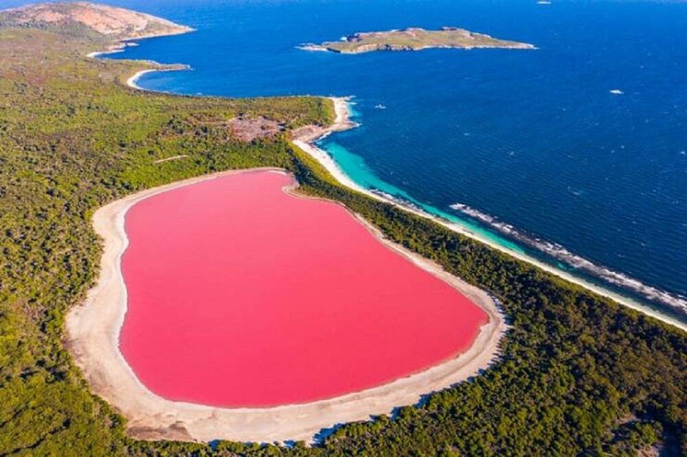 8. Розовое озеро Хиллиер в Австралии