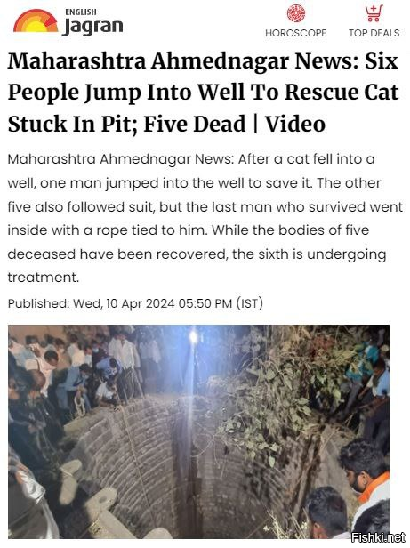 В Индии 6 человек прыгнули в колодец, спасая кошку