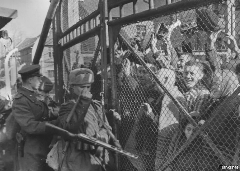Освобождение узников Освенцима