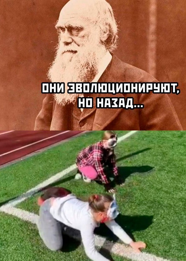 Скрины из соцсетей            