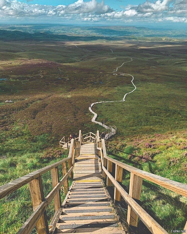 Дорожка на гору Куилка (Cuilcagh Boardwalk Trail), Северная Ирландия