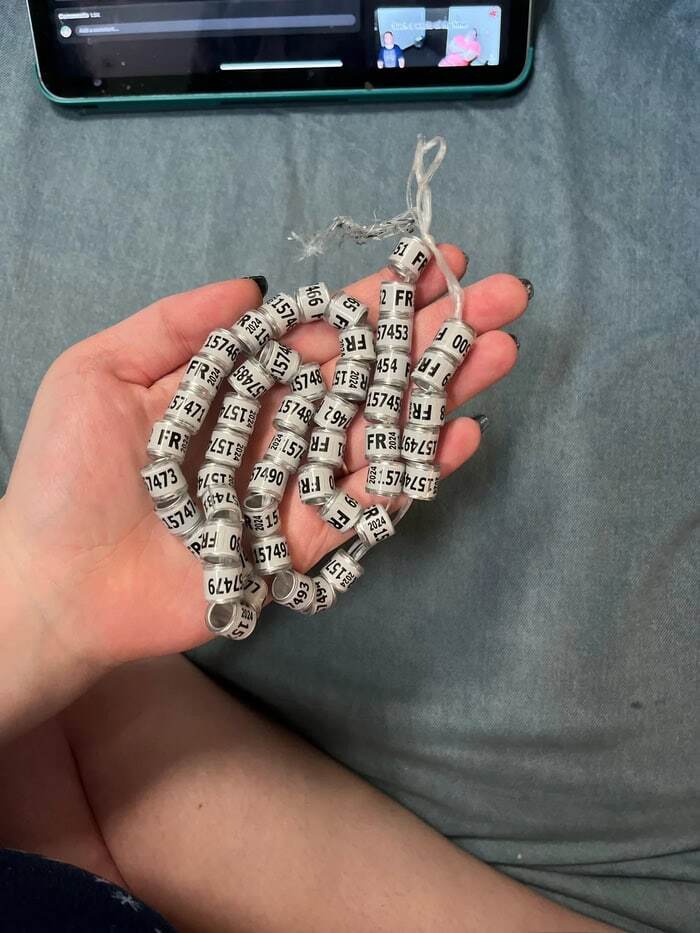 «Получил это по почте. Круглые кольца на верёвке? Кажется, что они сделаны из алюминия и пластика, с уникальными идентификационными номерами на каждом кольце»