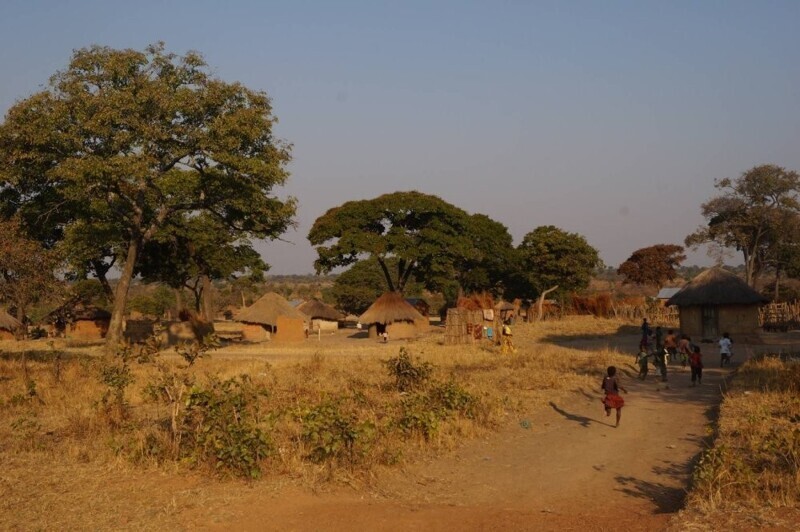 «Мы тут все от скуки кони двинем»: шокирующие откровения о службе в Африканском корпусе