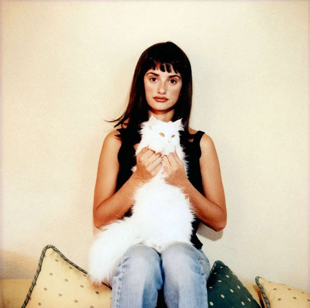 Пенелопа с кошкой, 2000