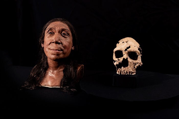 Учёные воссоздали облик неандертальской женщины по черепу