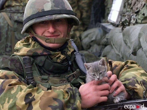 Котенок-талисман русских солдат в Косово. Ноябрь 2001