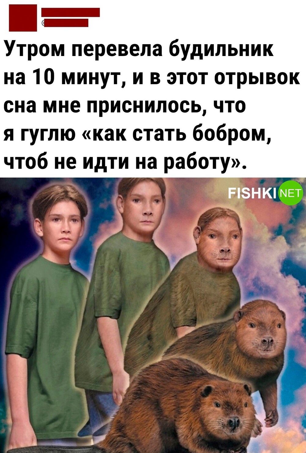 Так как им стать?