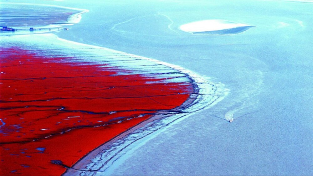 Красный пляж в Китае: загорать нельзя, можно только любоваться